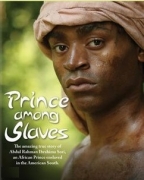 Prince Among Slaves