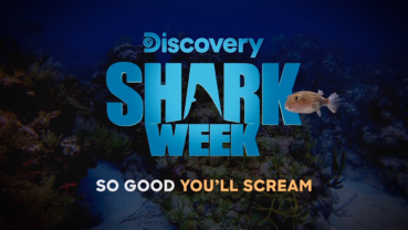 Shark Week Scream